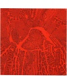 PARÉIDOLIE 2026