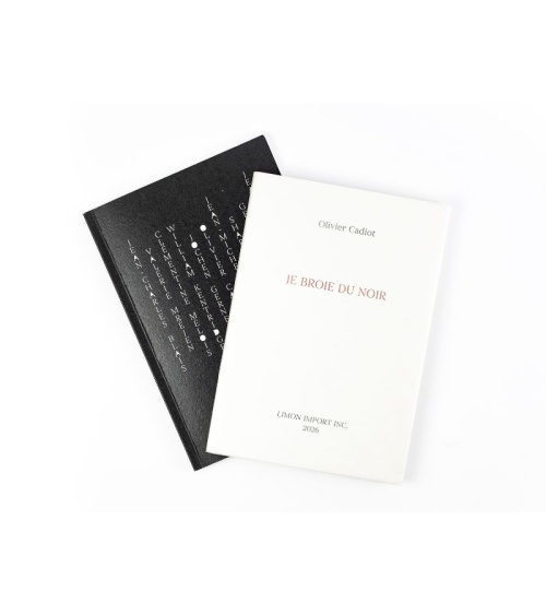 Je broie du noir – Olivier Cadiot