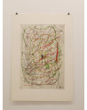 Hermann Nitsch - Die Architektur des Orgien Mysterien Theater