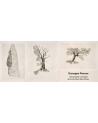 Giuseppe Penone - Transcription musicale de la structure des arbres 