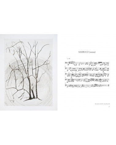 Giuseppe Penone - Transcription musicale de la structure des arbres  (gravures)