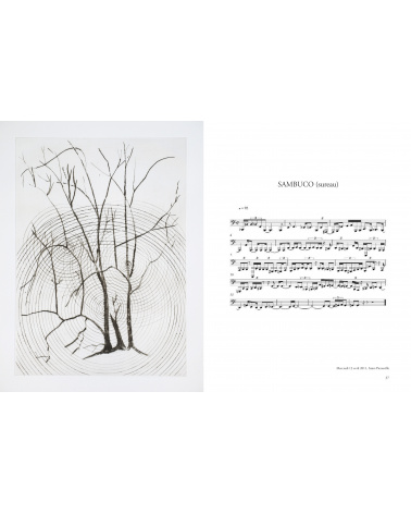 Giuseppe Penone - Transcription musicale de la structure des arbres 